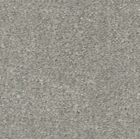 Seta Carpet