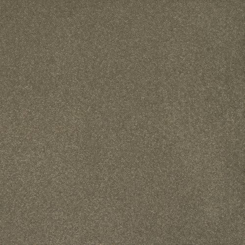 Heartland Carpet