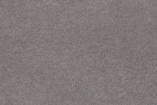 Verviers Carpet