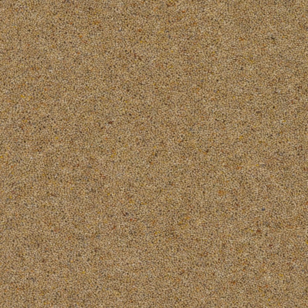 Glen Dullan 57oz Carpet
