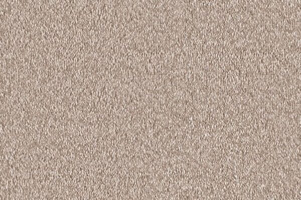 Delight Carpet