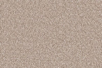 Delight Carpet