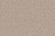 Delight Carpet