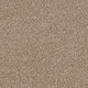 Septimus Carpet