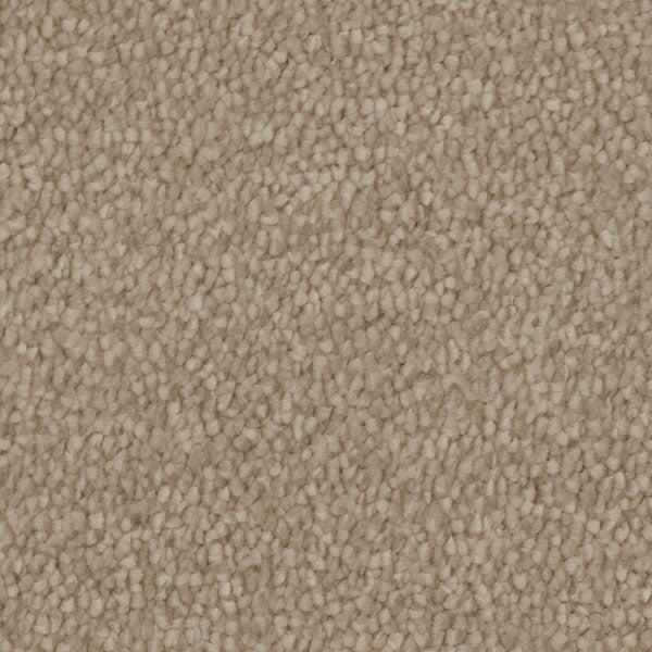 Invictus Severus Carpet
