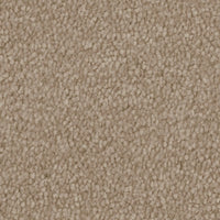Invictus Severus Carpet
