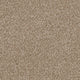 Invictus Severus Carpet