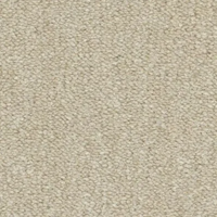Lusso Carpet