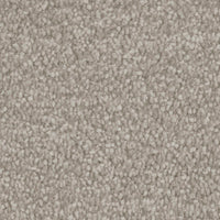Septimus Carpet
