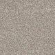 Septimus Carpet