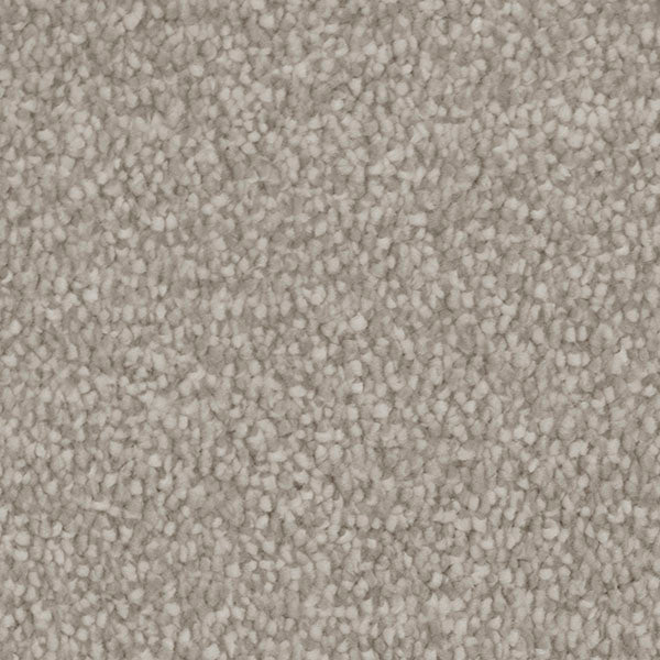 Invictus Severus Carpet