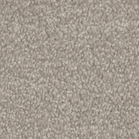 Invictus Severus Carpet