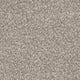 Invictus Severus Carpet