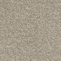 Septimus Carpet