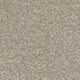 Septimus Carpet
