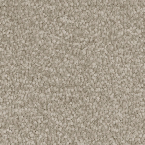 Invictus Severus Carpet