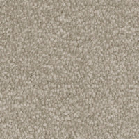 Invictus Severus Carpet
