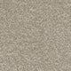 Invictus Severus Carpet