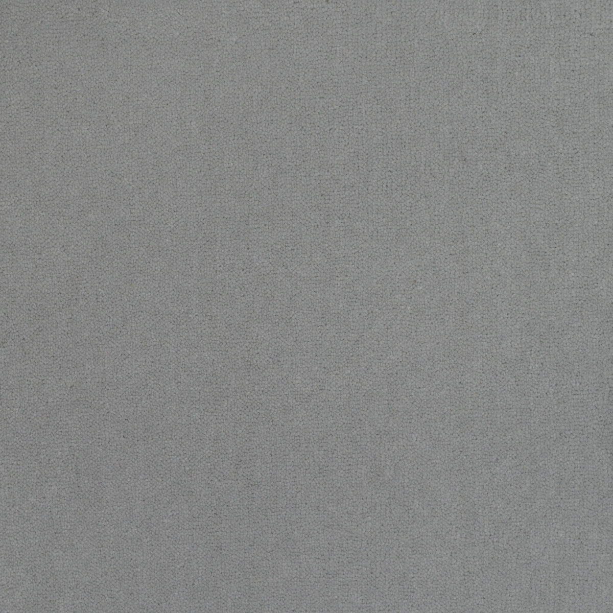 Royal Velvet Carpet