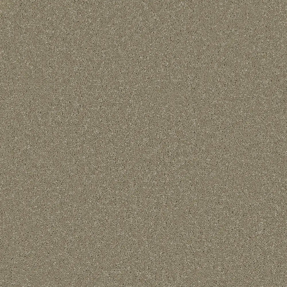 Trident Plains Carpet