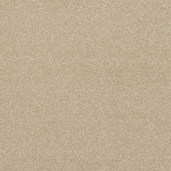 Pinnacle Carpet