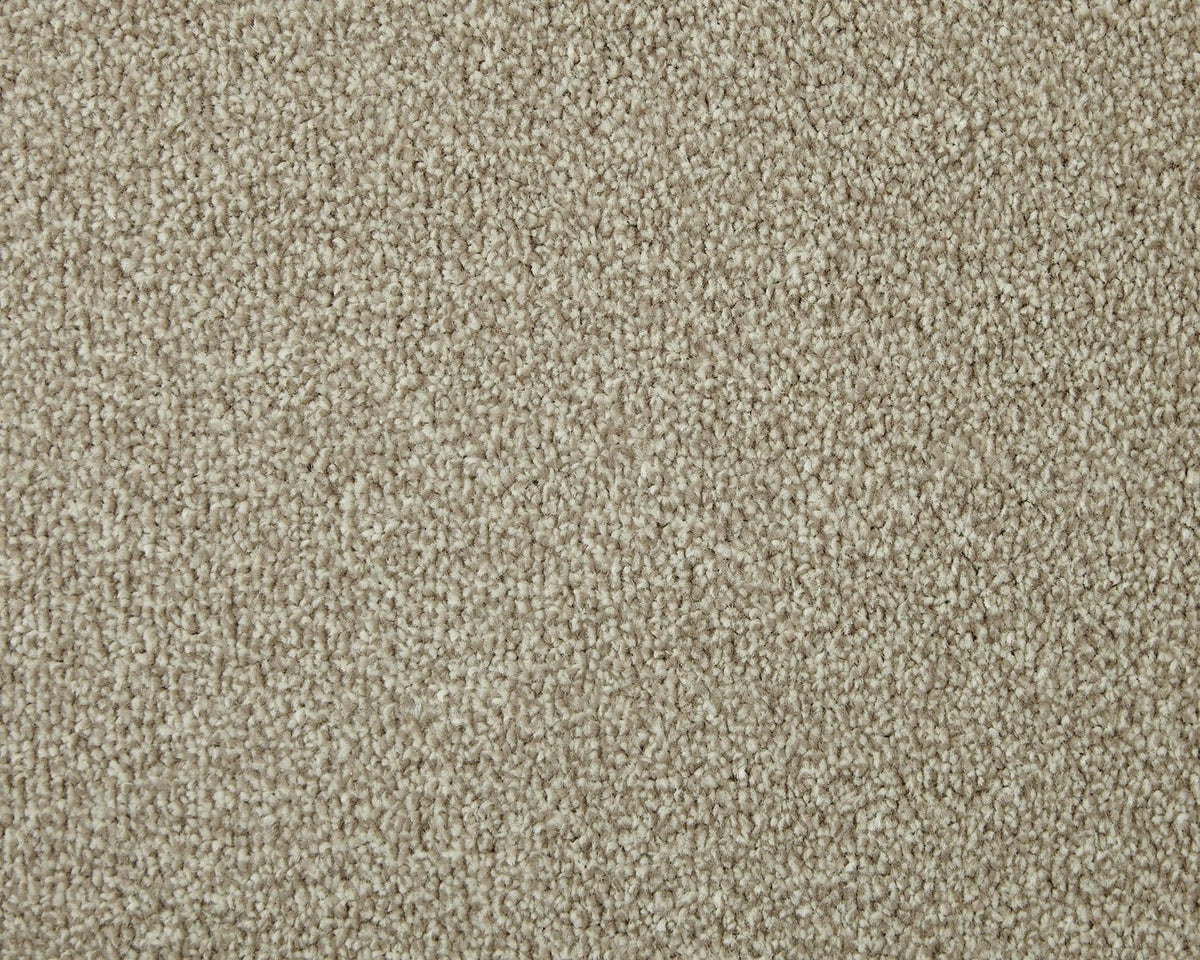 Trojan Elite Carpet