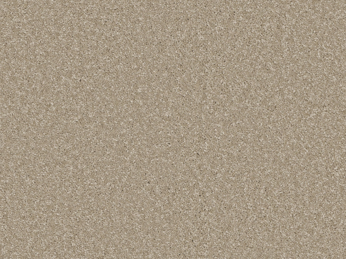 Elegante Carpet