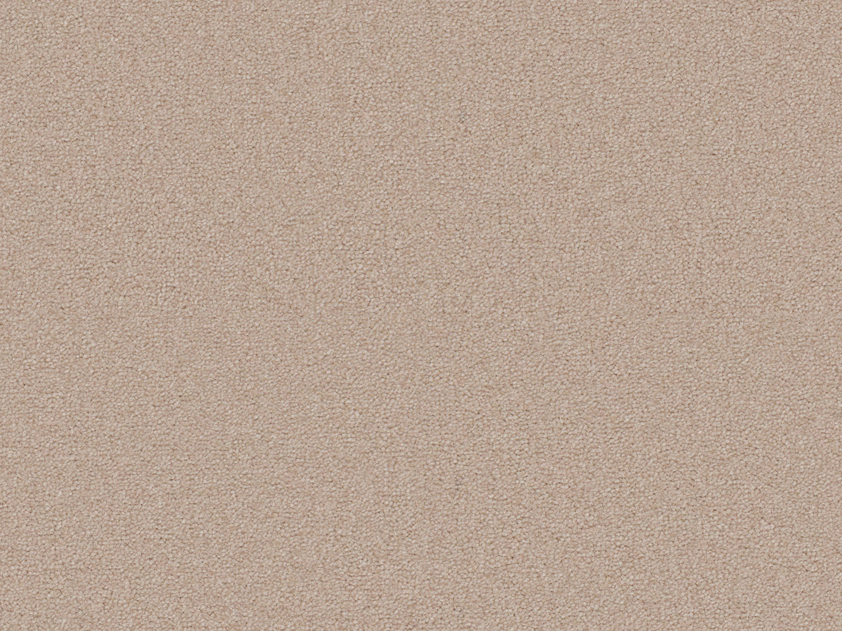 Terra Rosa Carpet