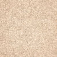 Ganges Carpet