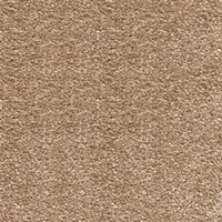 Sirius Carpet
