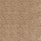 Sirius Carpet