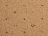 Prince Bishop Sceptre Carpet