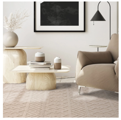 Asra Rug Collection - Multiple Styles Available