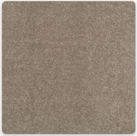 Pioneer Carpet