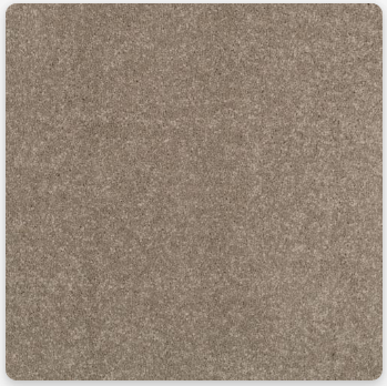 Pioneer Carpet