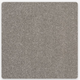 Pioneer Carpet