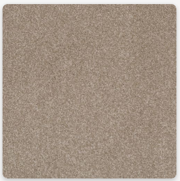 Pioneer Carpet