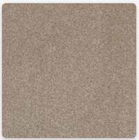 Pioneer Carpet
