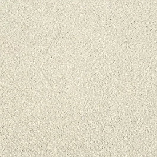 Pure Elegance Carpet