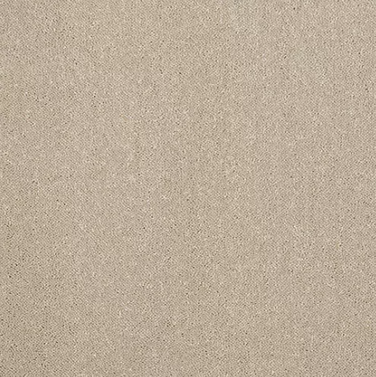 Pure Elegance Carpet