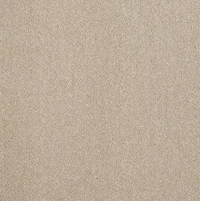 Pure Elegance Carpet