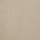 Pure Elegance Carpet