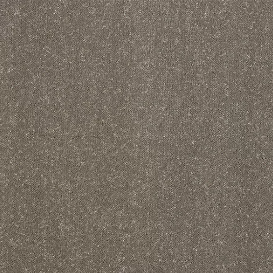Pure Elegance Carpet