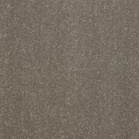Pure Elegance Carpet