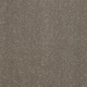 Pure Elegance Carpet