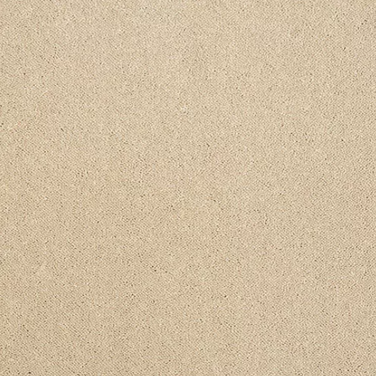 Pure Elegance Carpet