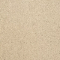 Pure Elegance Carpet