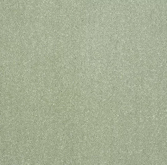 Pure Elegance Carpet