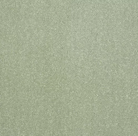 Pure Elegance Carpet