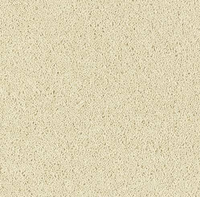 Windsor Twist Elite Carpet